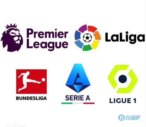 他的职业生 他的职业生